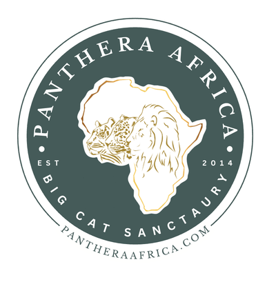 Panthera Africa Big Cat Centre